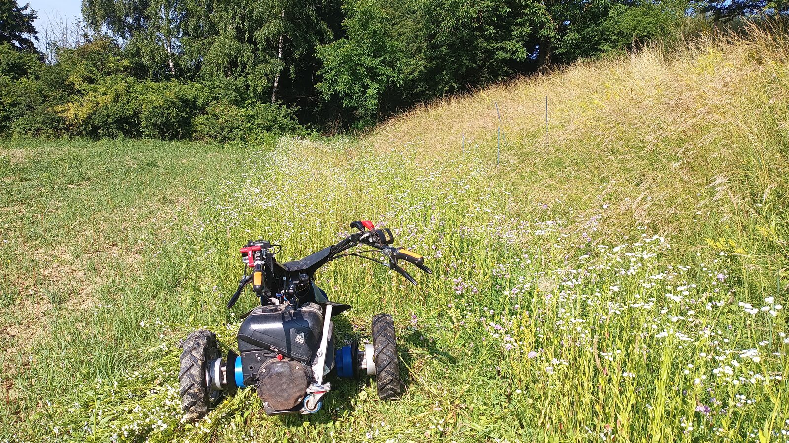 Landschaftspflege