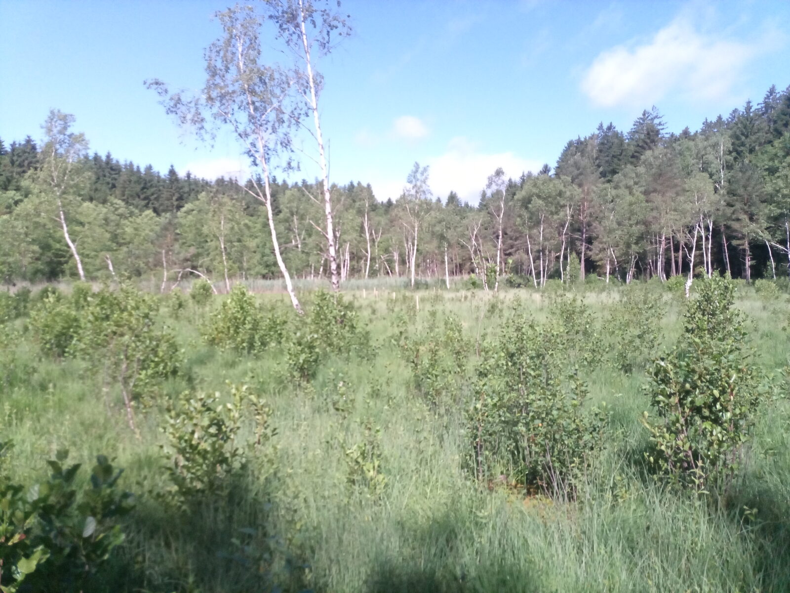 Naturschutz