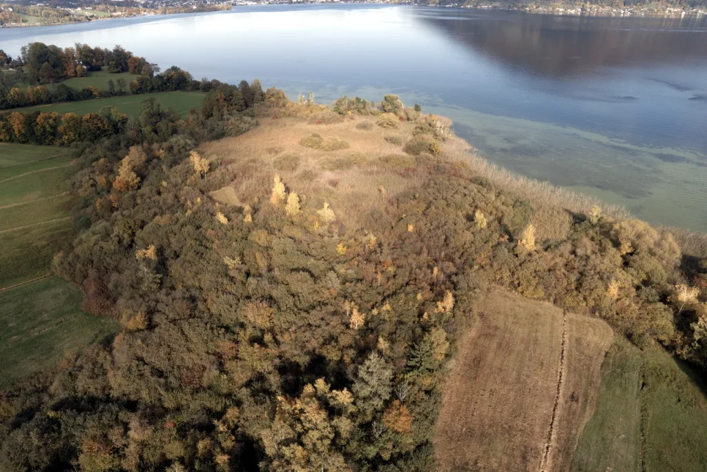 Herbstlicher Gehölzbestand an einem Seeufer