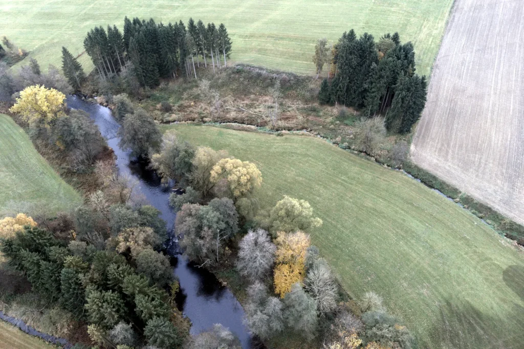 Bachlauf mit Ufergehölz, schräg von oben