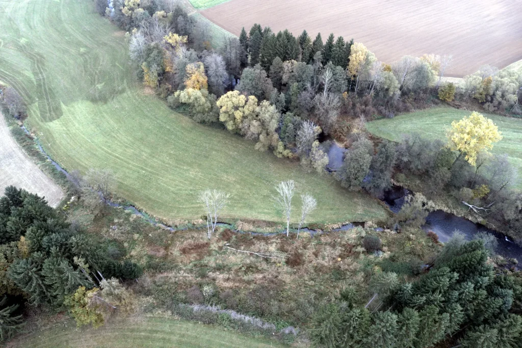 Uferböschung mit Gehölzgruppen im Herbst